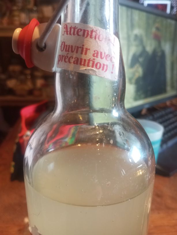 Image atelier kéfir et kombucha