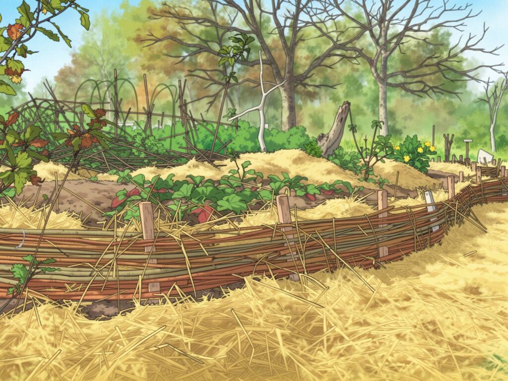 potager 3-illustration-jardins-d-amphipolis