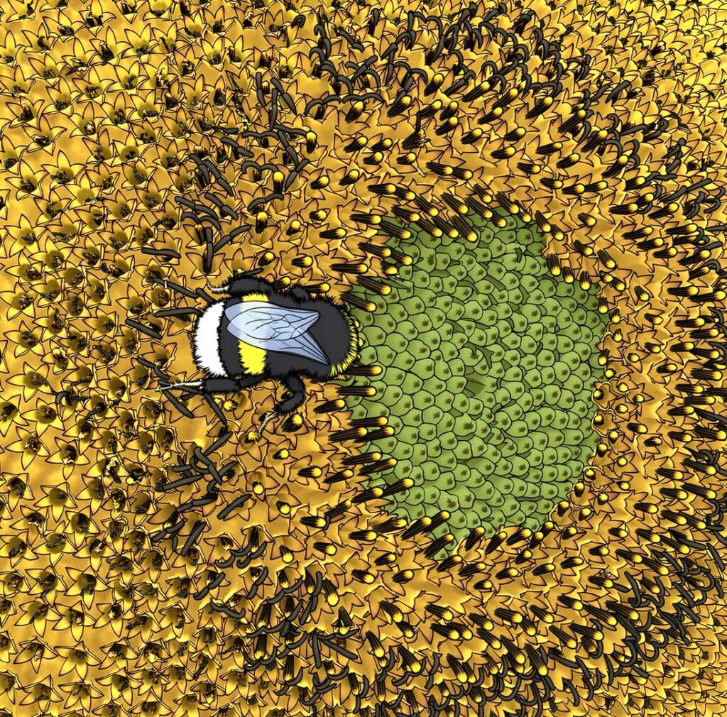 refuge 4-illustration-jardins-d-amphipolis